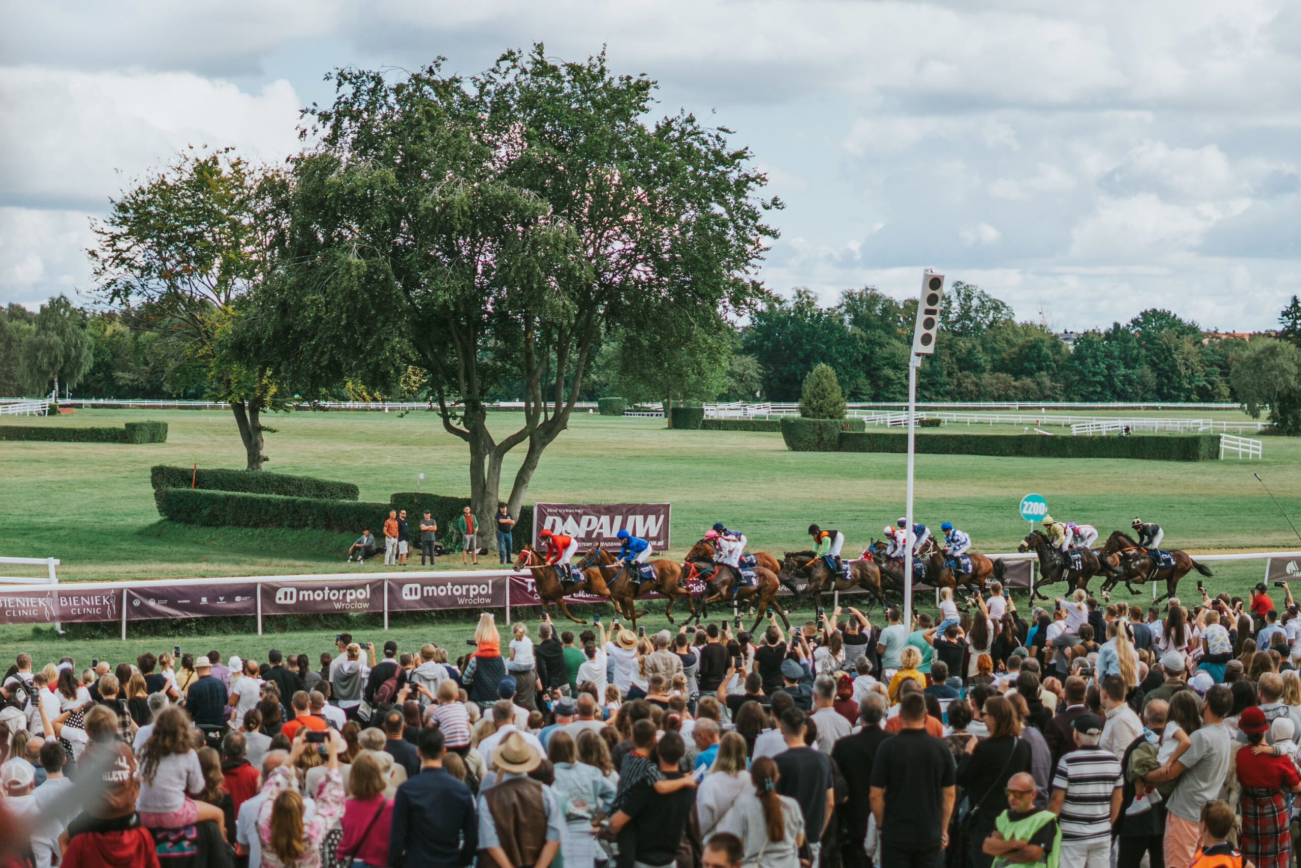 wielkawroclawska25-hj-67